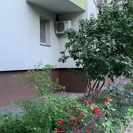 Easy Therme, Airport, Downtown Private Homestay szállás Bukarest